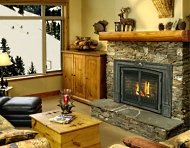 gas fireplace insert